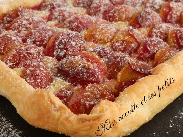 tarte-aux-prunes--1-.JPG