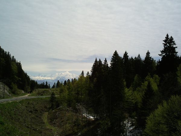 Photo0865.jpg