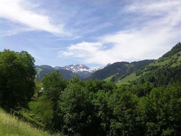 Photo0872