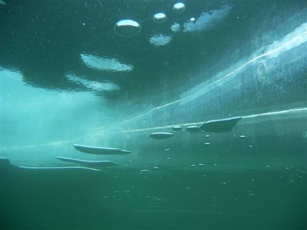 11 février plongée sous glace 027