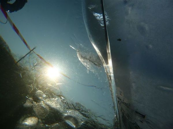 11 février plongée sous glace 036