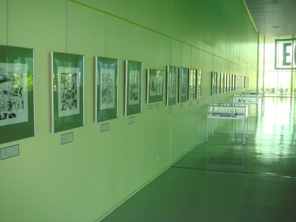 DSC02314-copie-1.JPG