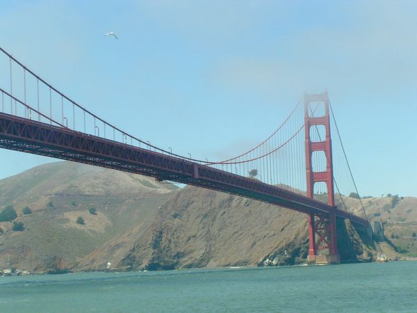 SF-Golden-Gate---11-.jpg