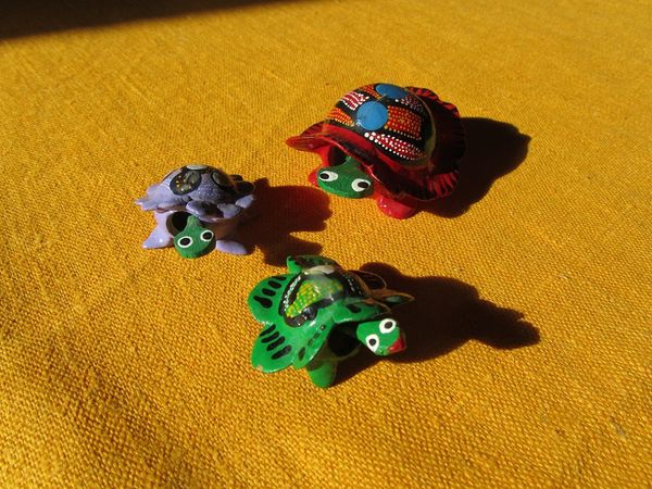 Mes-Tortues 5013