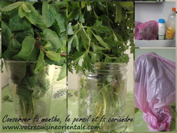 Conserver la menthe fraîche, le persil et la coriandre