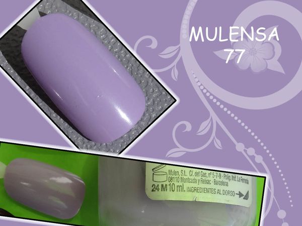 MULENSA-77-parme-01.jpg