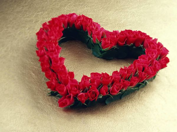Heart_shaped_red_rose.jpg