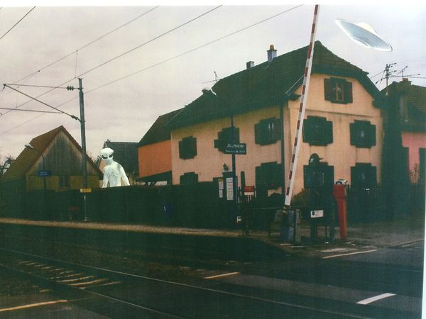 Bizarre 1163