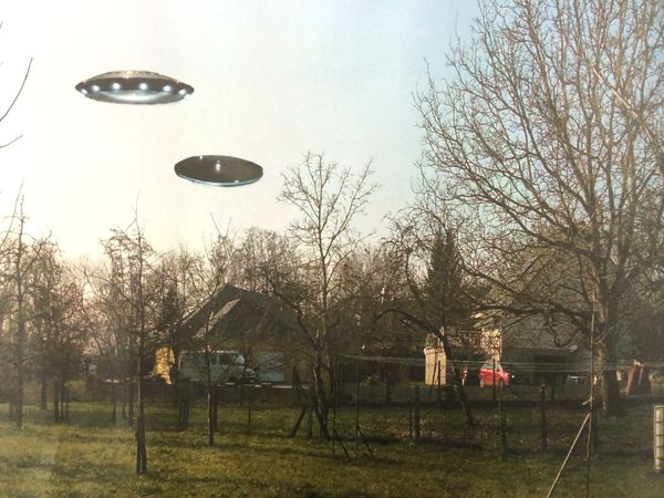 Bizarre 1182