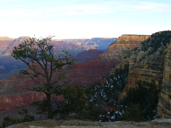 Grand Canyon 017