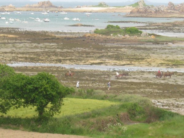 BRETAGNE 066