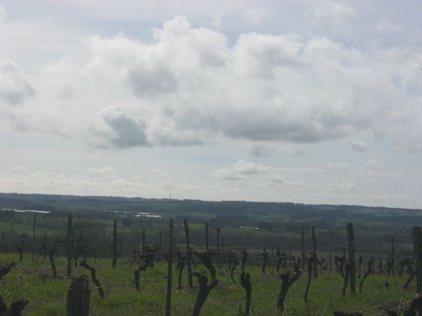DURAS-050.jpg