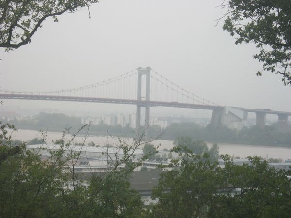 BASSENS-002.jpg