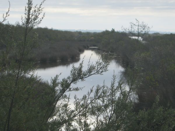 LANTON 022