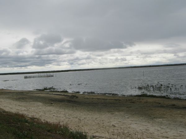LANTON 065