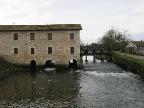 BLANQUEFORT-021.jpg
