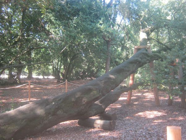 BORDEAUX PARCS 004