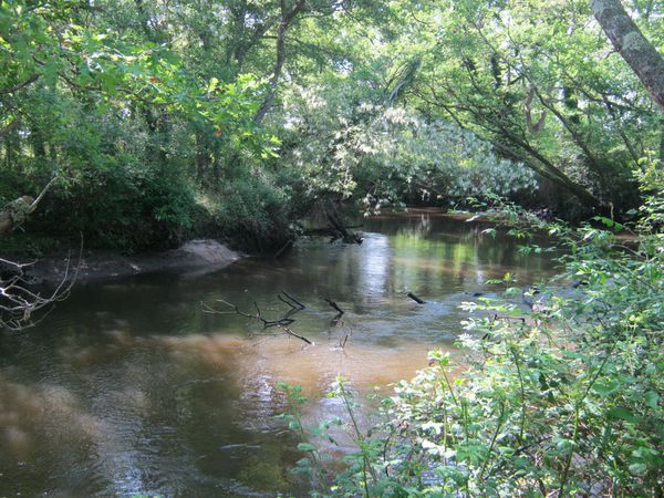 DELTA DE LA LEYRE 034