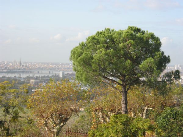 BOULIAC - vue sur Bordeaux