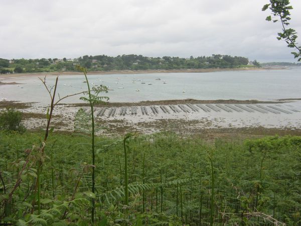 Ploubazlanec