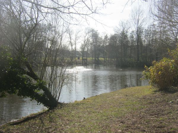 GRADIGNAN-041.jpg
