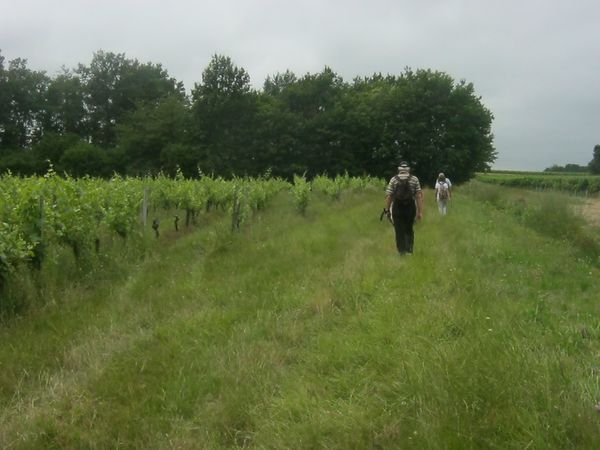 TAURIAC 010