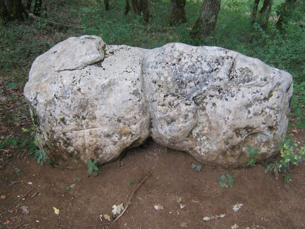 LA BRACONNE