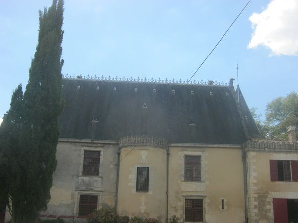 LUGON 014