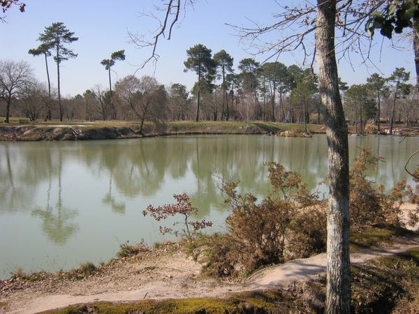 LES SOURCES DE GAZINET 004