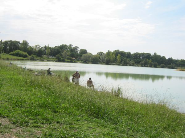 CANEJAN 006