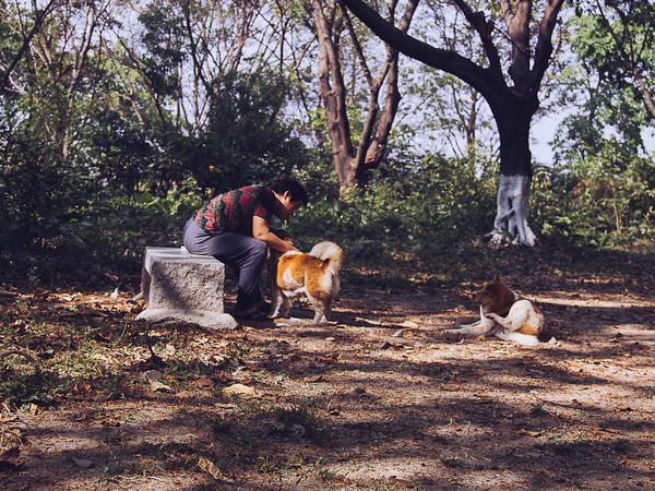 Zhongshan-Park_the-old-woman-and-her-dogs-again-.jpg