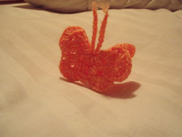 papillonsibol.JPG