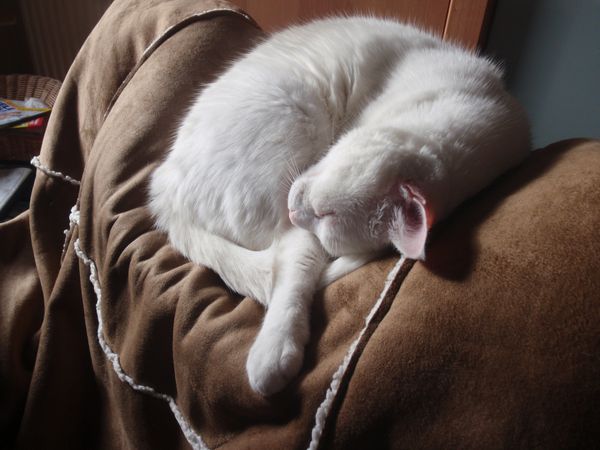 P1140039.JPG
