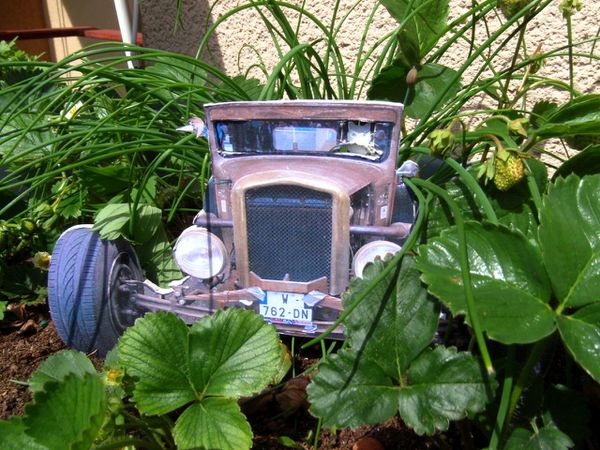 P5100037