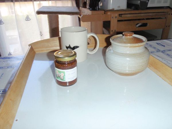 P8020001-copie-1.JPG