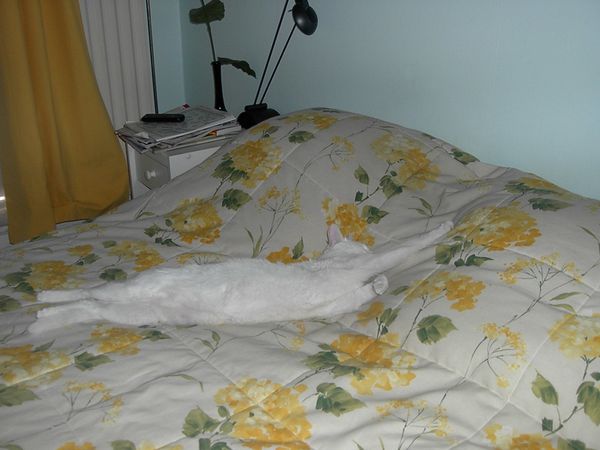 un après midi de sieste 011