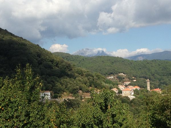 suite-2014-2125.jpg