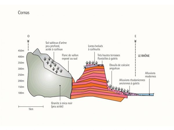 cornas-sols