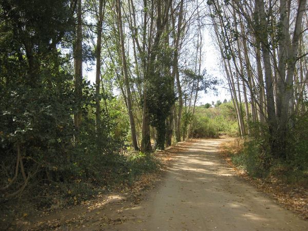 villafranca del bierzo 069