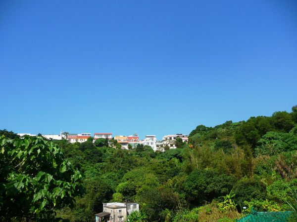 Peng Chau (23)