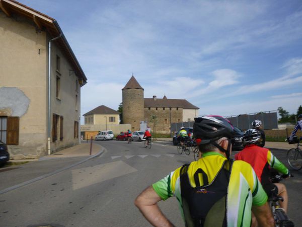 P1050352.jpg