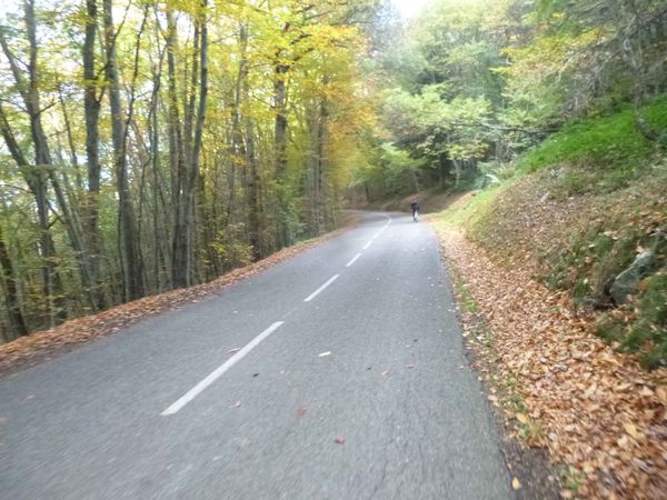 P1120725.jpg