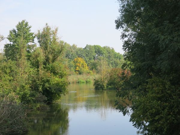 9-LE-DANUBE-PEU-APRES-LA-SOURCE.JPG