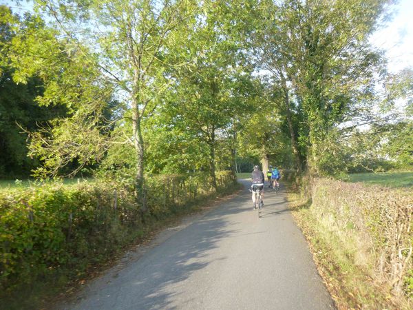P1100380.jpg