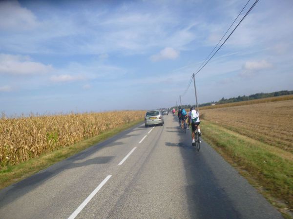 P1100478.jpg