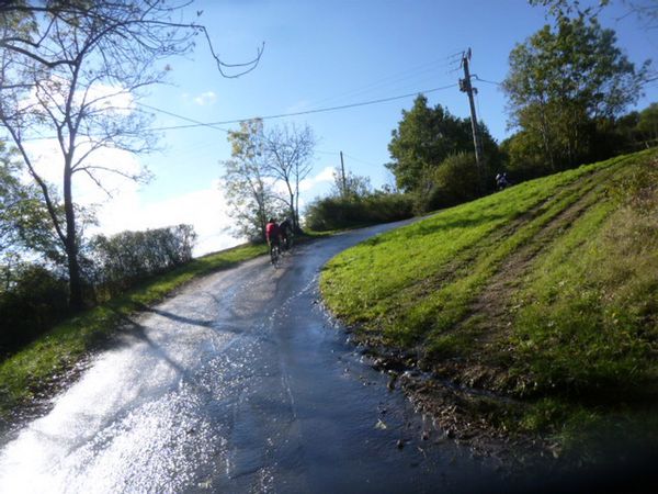 P1110536.jpg