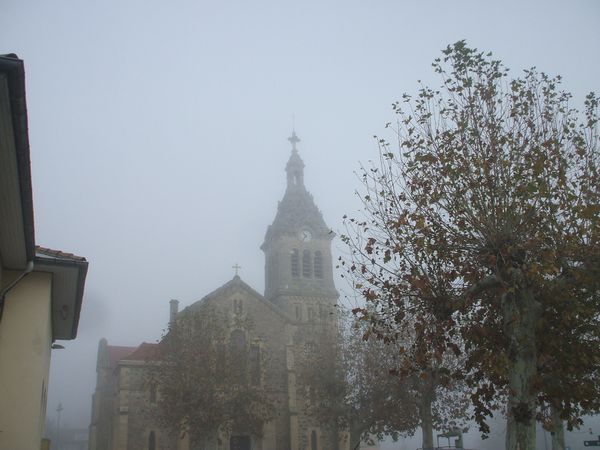 DSCF6439.JPG