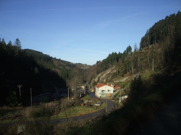 DSCF6596.JPG