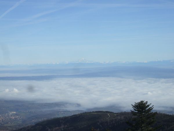 DSCF6635.JPG