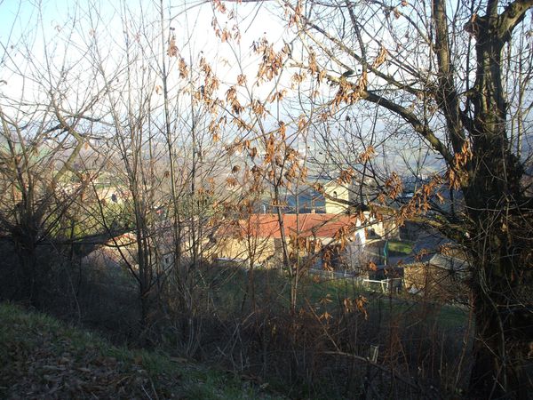 DSCF6667.JPG